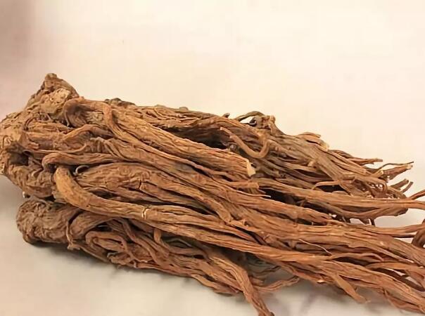 补血,补气,抗衰老的11种中药